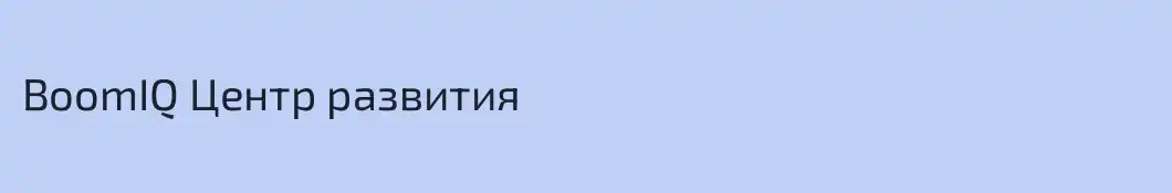 BoomIQ Центр развития